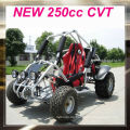 250cc billige Buggies